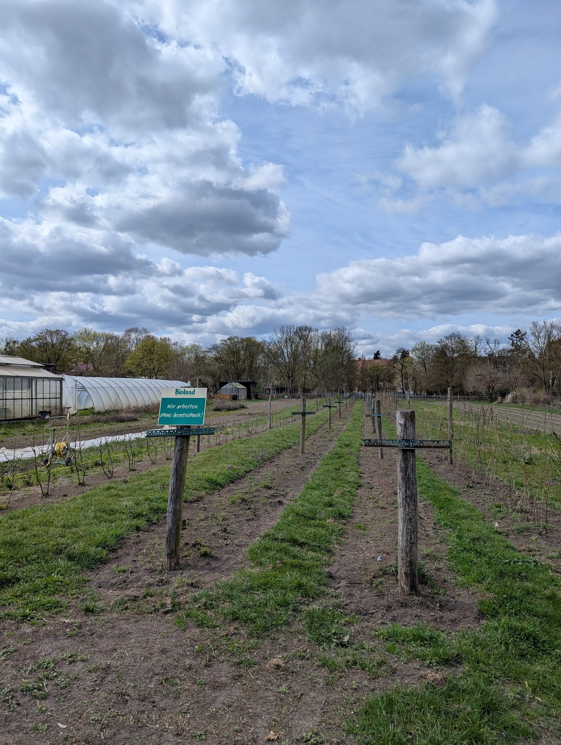 Landwirtschaft mitten in Berlin – Ausflug mit Kindern, Foto 10