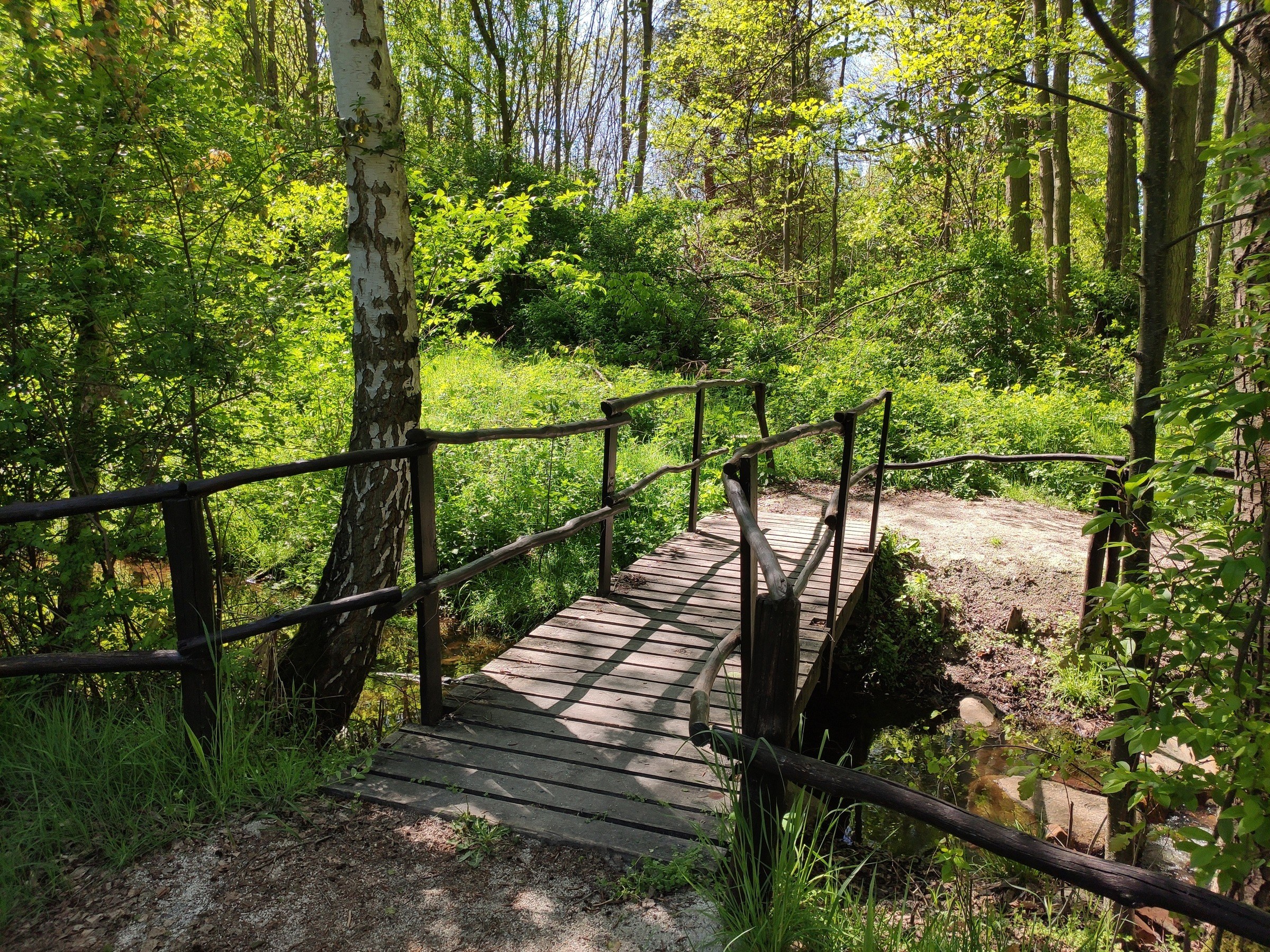 Burgruine Caminau – Ausflug mit Kindern, Foto 9