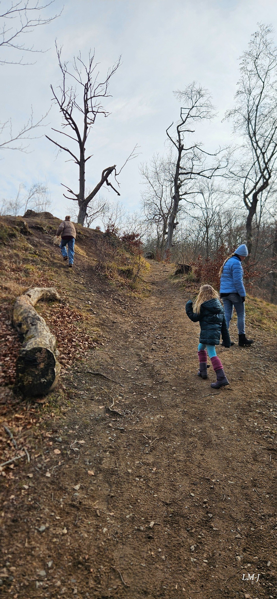 Ludwigsturm via Waldkunstpfad – Ausflug mit Kindern, Foto 4