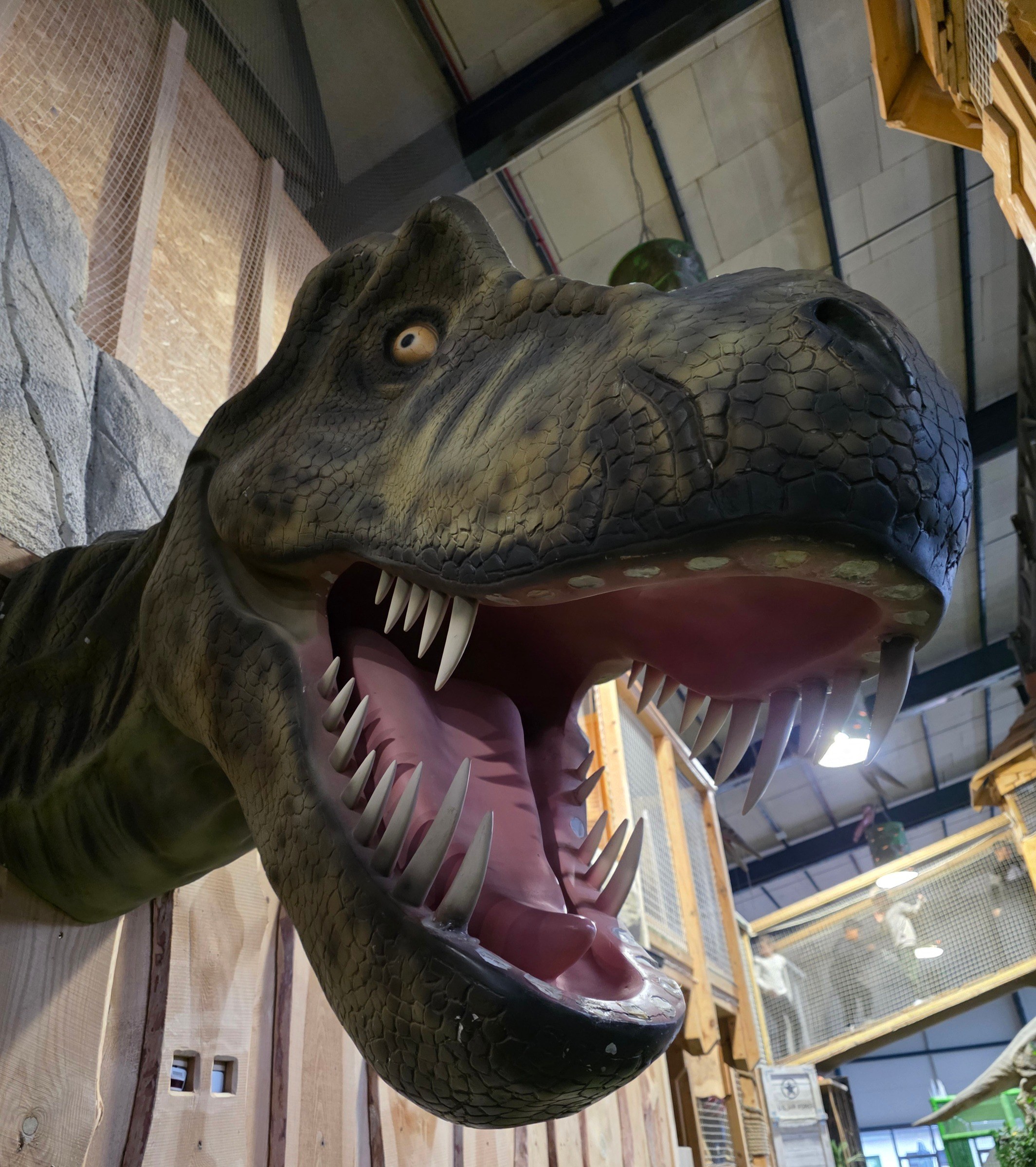 Dino Adventure – Indoorspielplatz – Ausflug mit Kindern, Foto 2