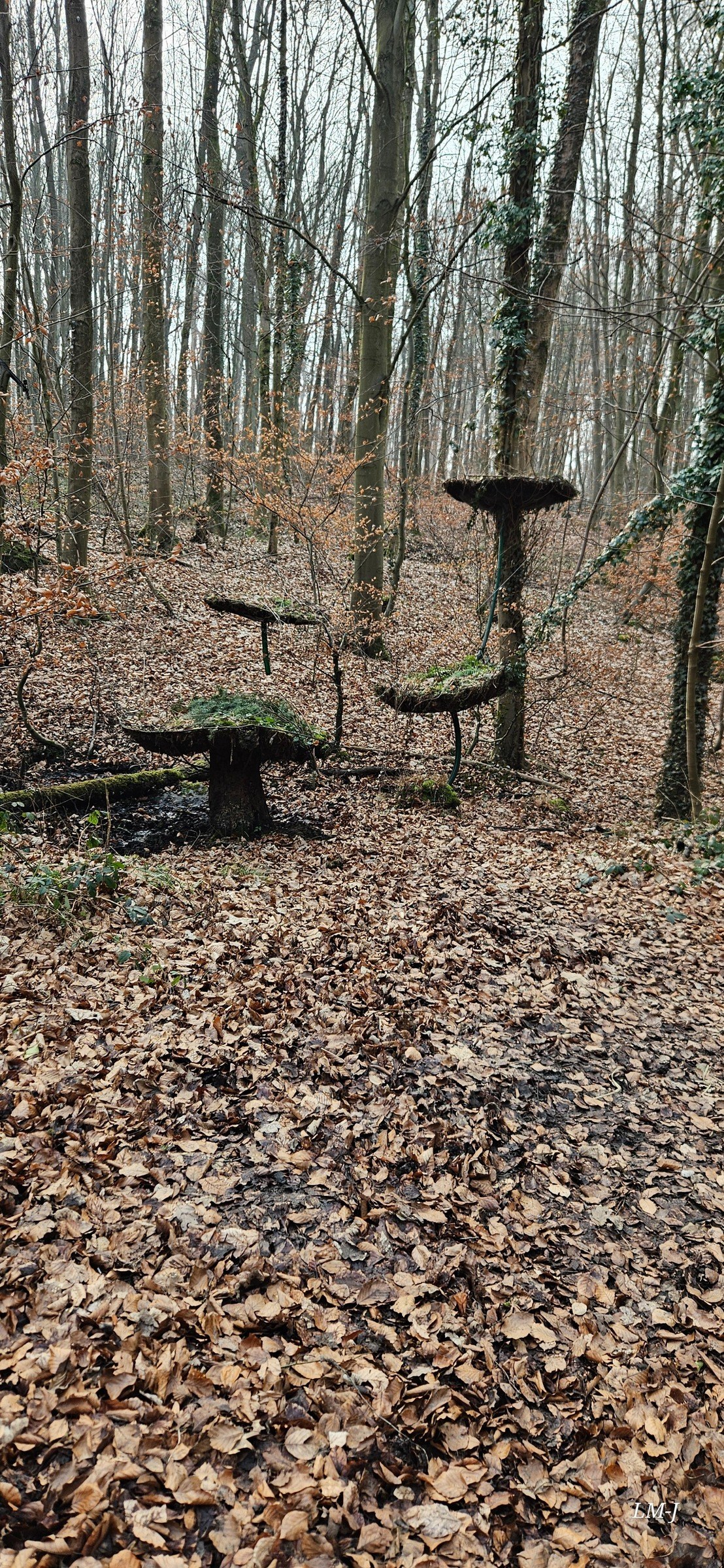 Ludwigsturm via Waldkunstpfad – Ausflug mit Kindern, Foto 5