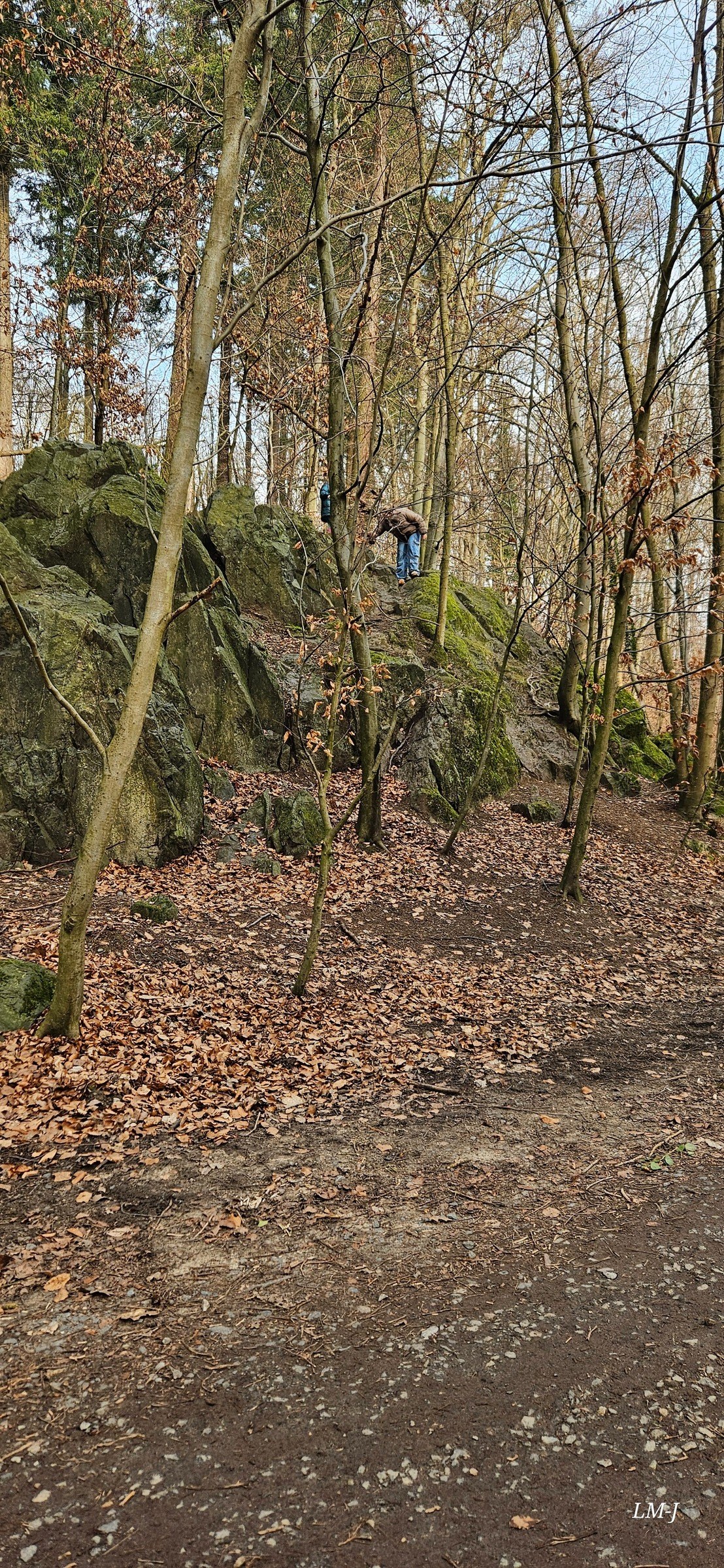 Ludwigsturm via Waldkunstpfad – Ausflug mit Kindern, Foto 6