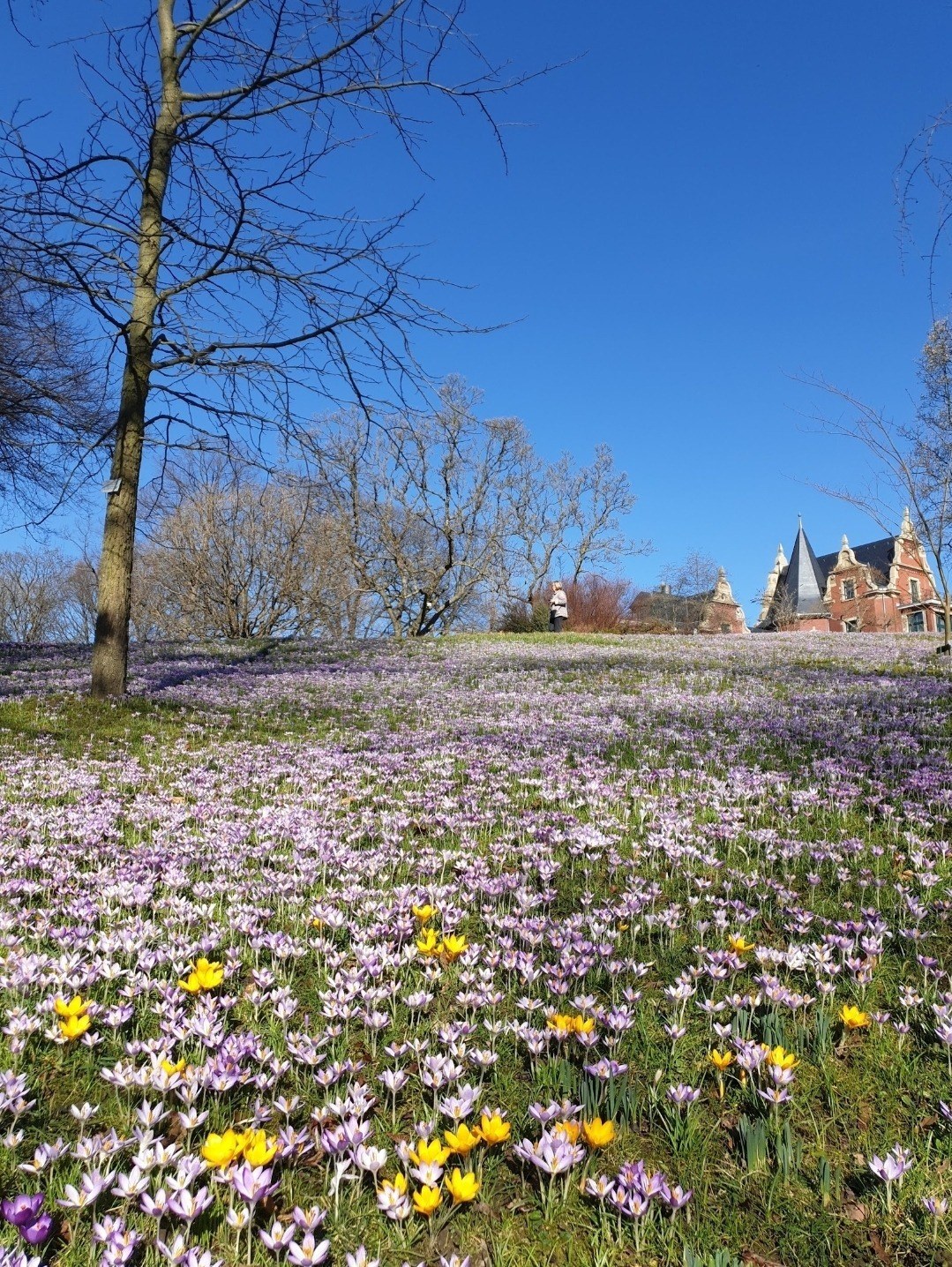 Botanischer Garten in Wuppertal – Ausflug mit Kindern, Foto 5