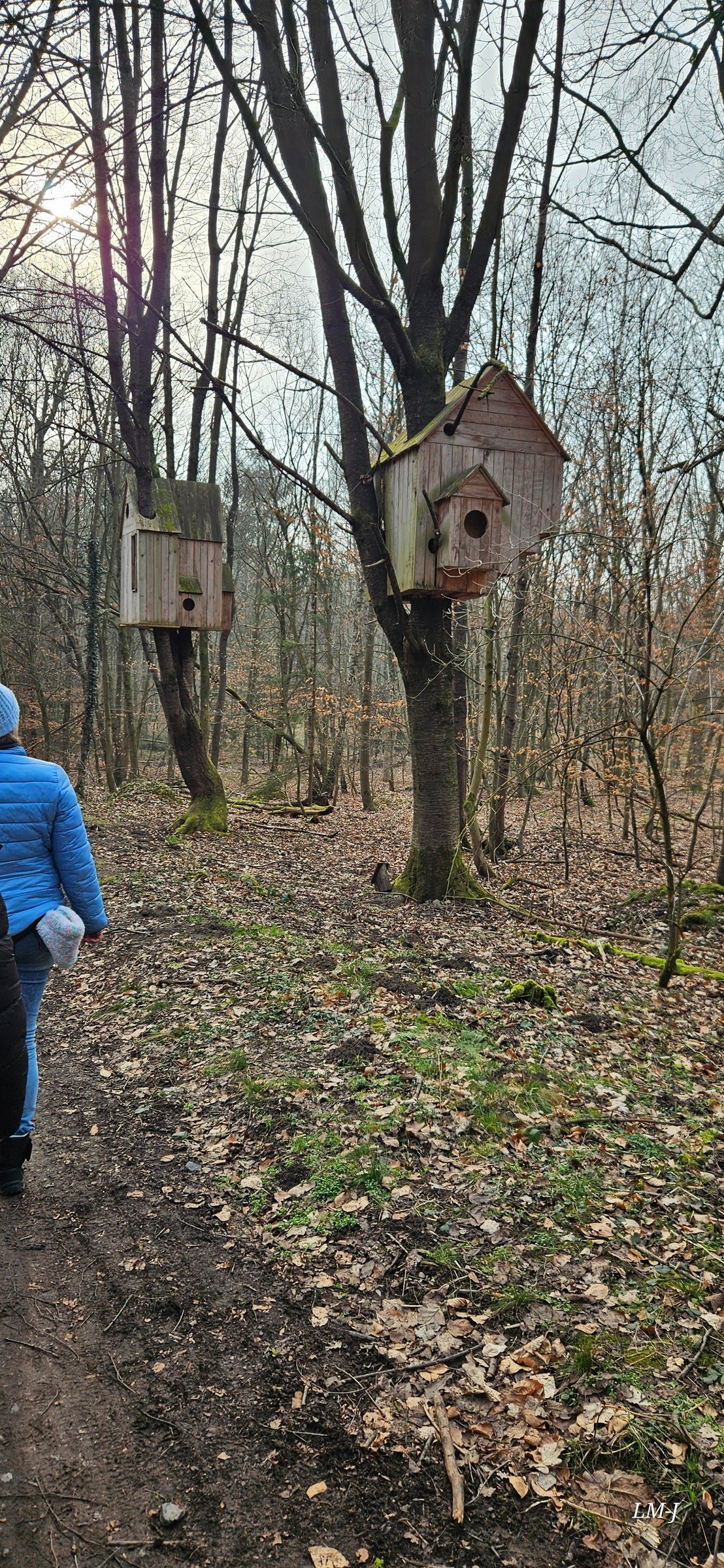 Ludwigsturm via Waldkunstpfad – Ausflug mit Kindern, Foto 7