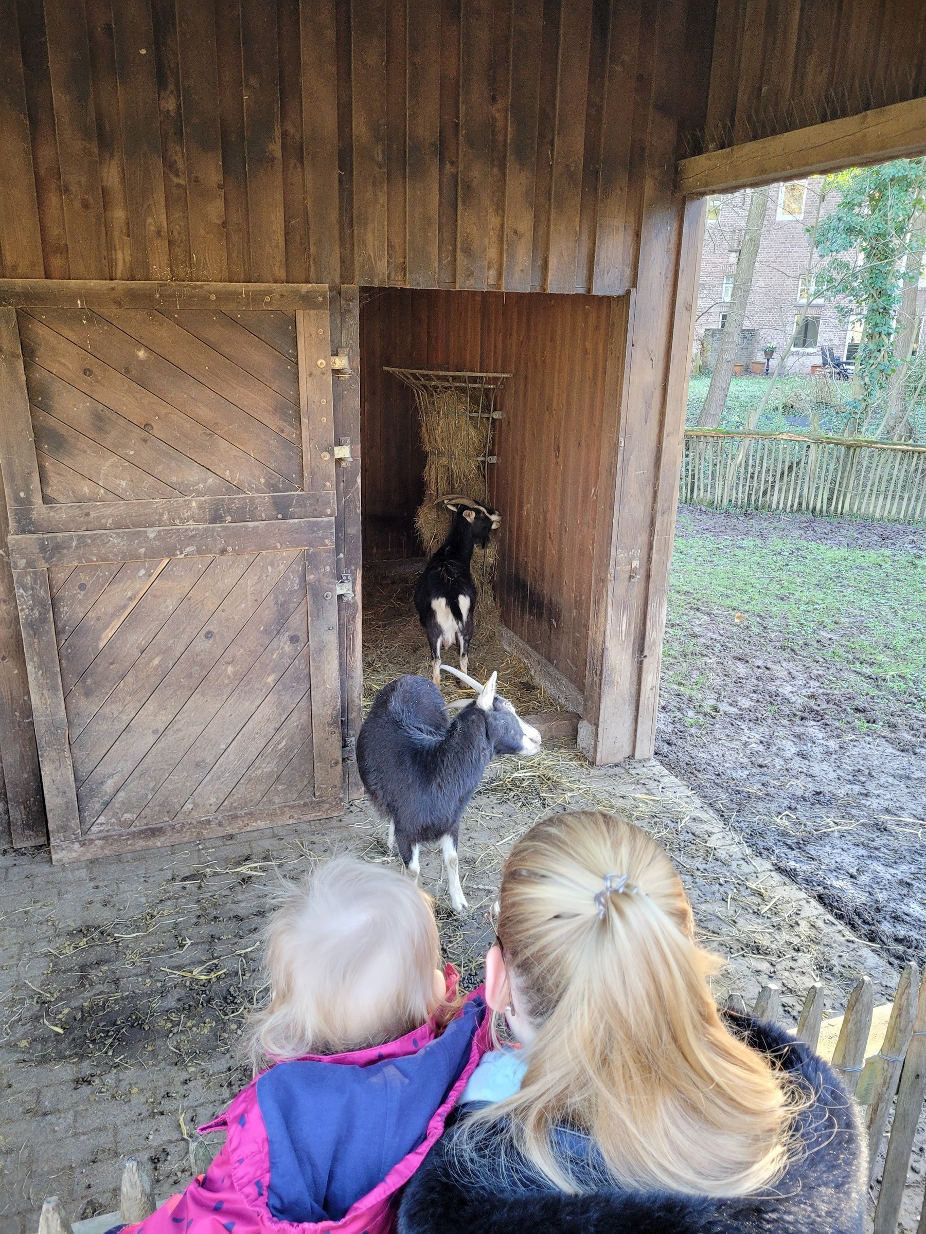 Kinderbauernhof in Neuss – Ausflug mit Kindern, Foto 2