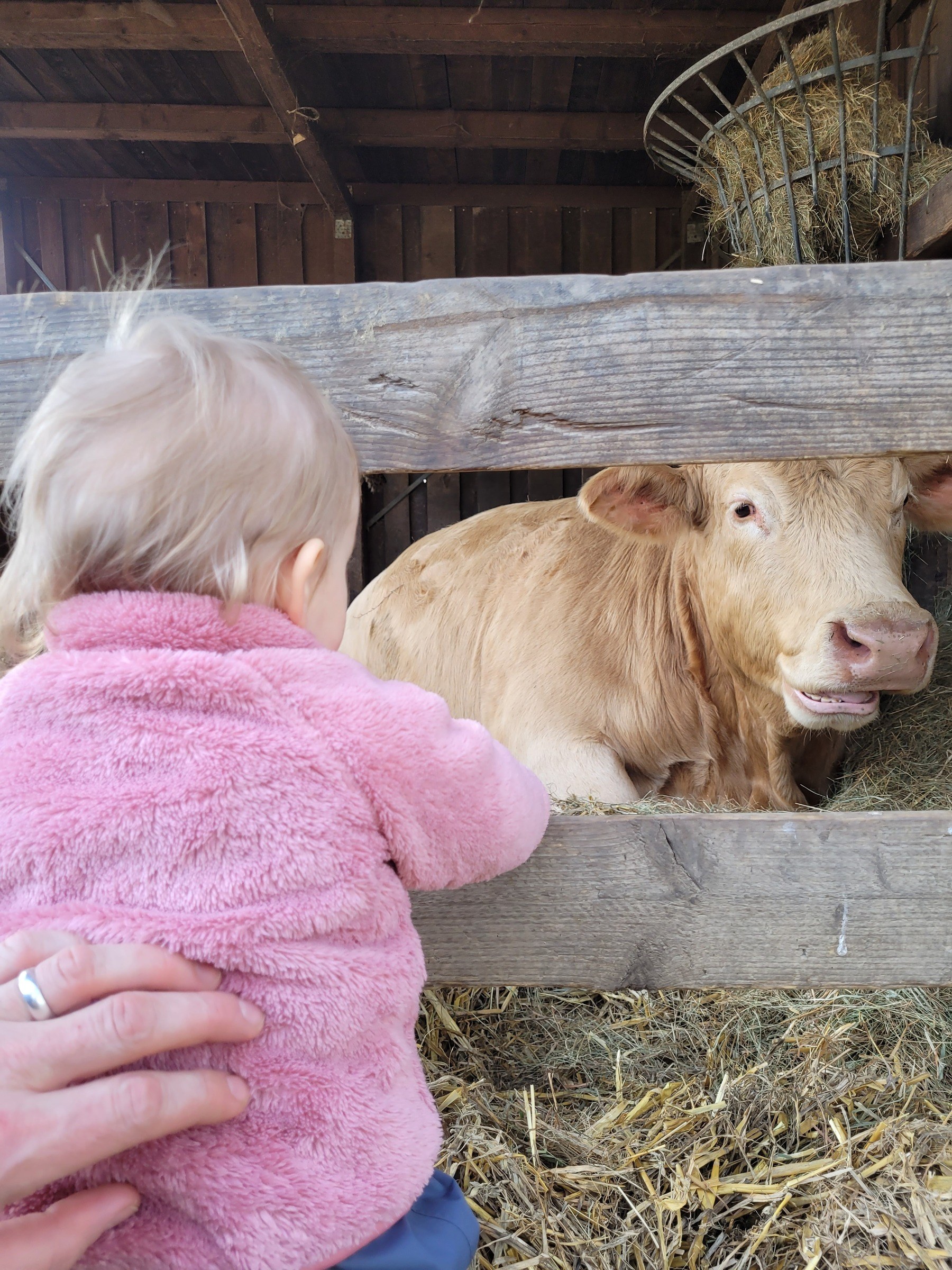 Kinderbauernhof in Neuss – Ausflug mit Kindern, Foto 4