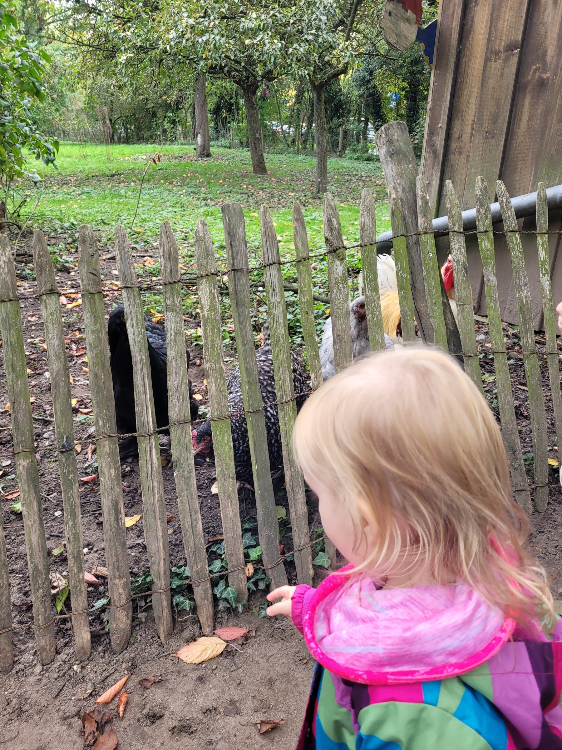 Kinderbauernhof in Neuss – Ausflug mit Kindern, Foto 5