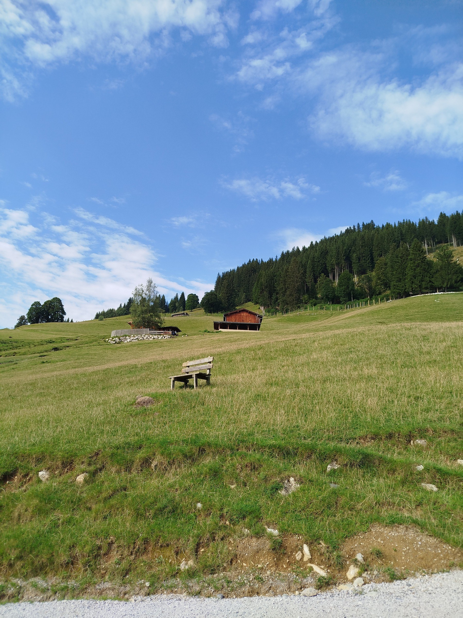 Wildpark Aurach bei Kitzbühel – Ausflug mit Kindern, Foto 2