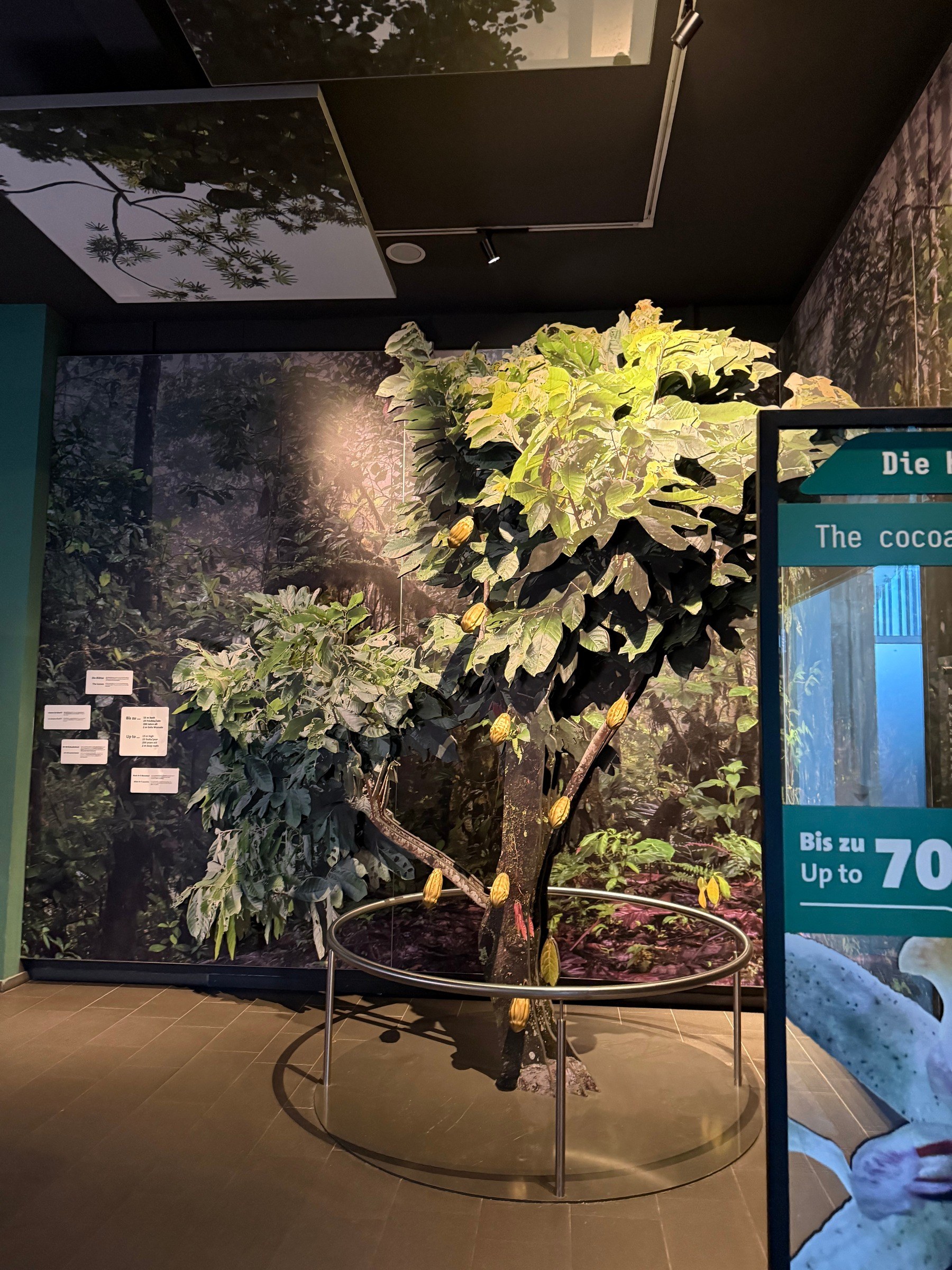 Schokoladenmuseum Köln – Ausflug mit Kindern, Foto 4