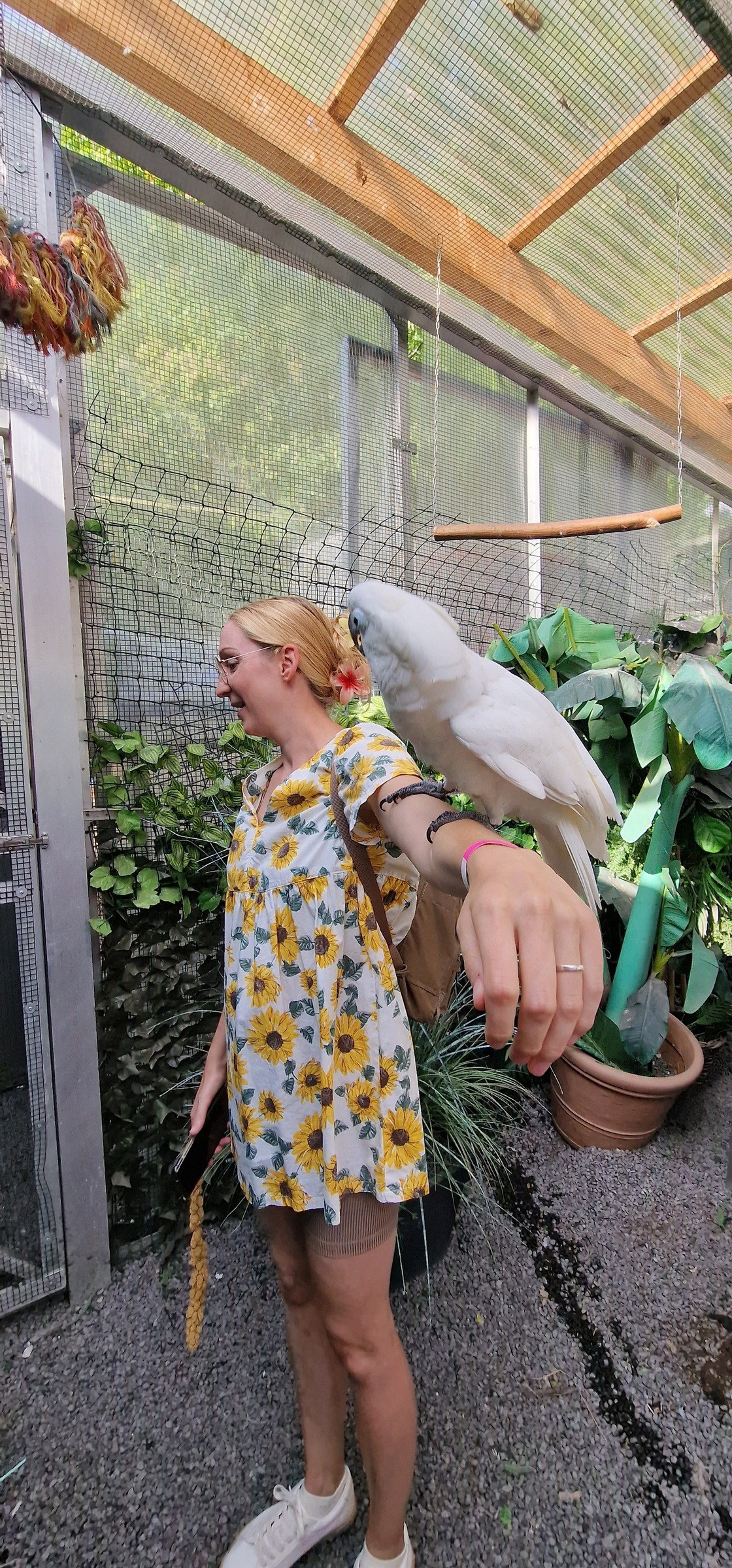 Papageienpark Bochum – Ausflug mit Kindern, Foto 5