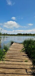 Moor Extrem! in Bad Wurzach