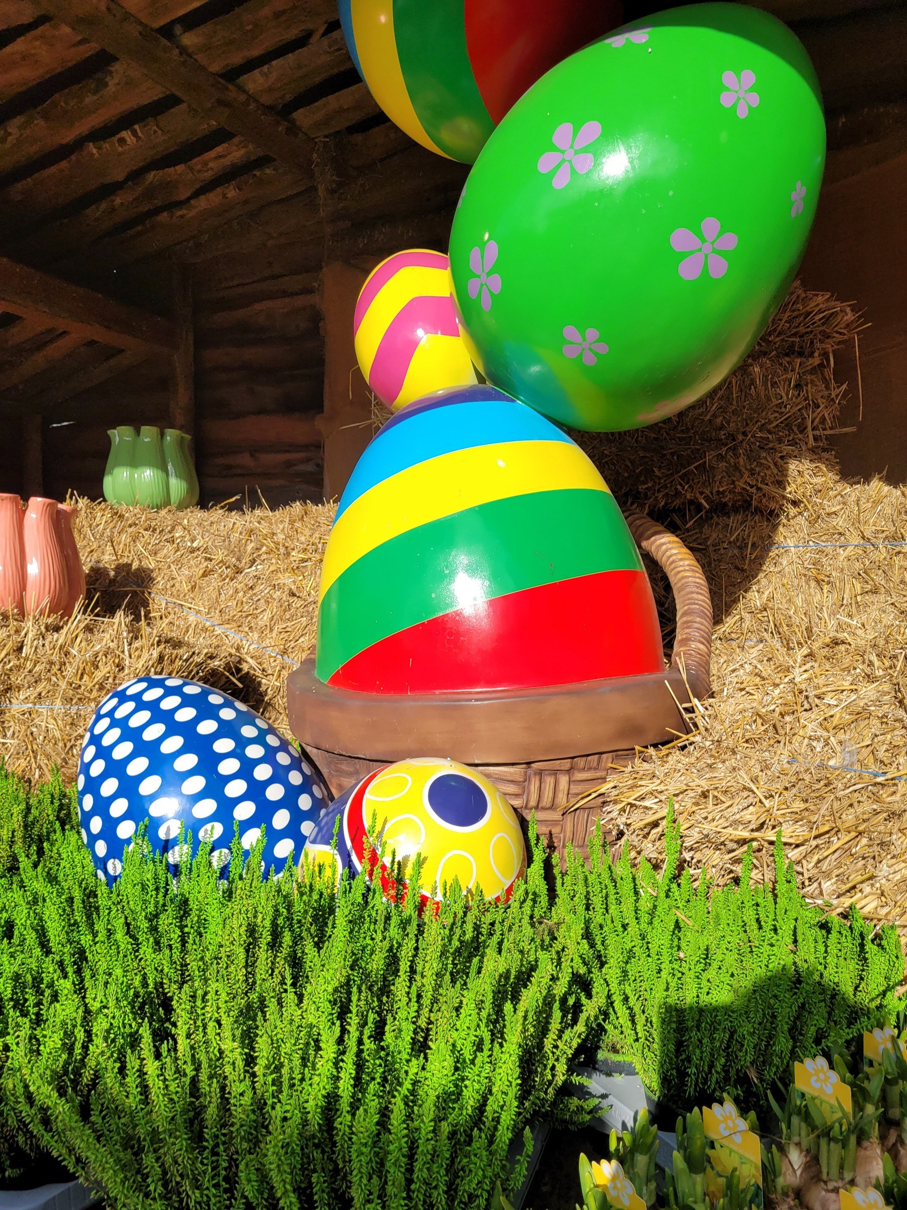 Erlebnisbauernhof Gertrudenhof – Ausflug mit Kindern, Foto 3