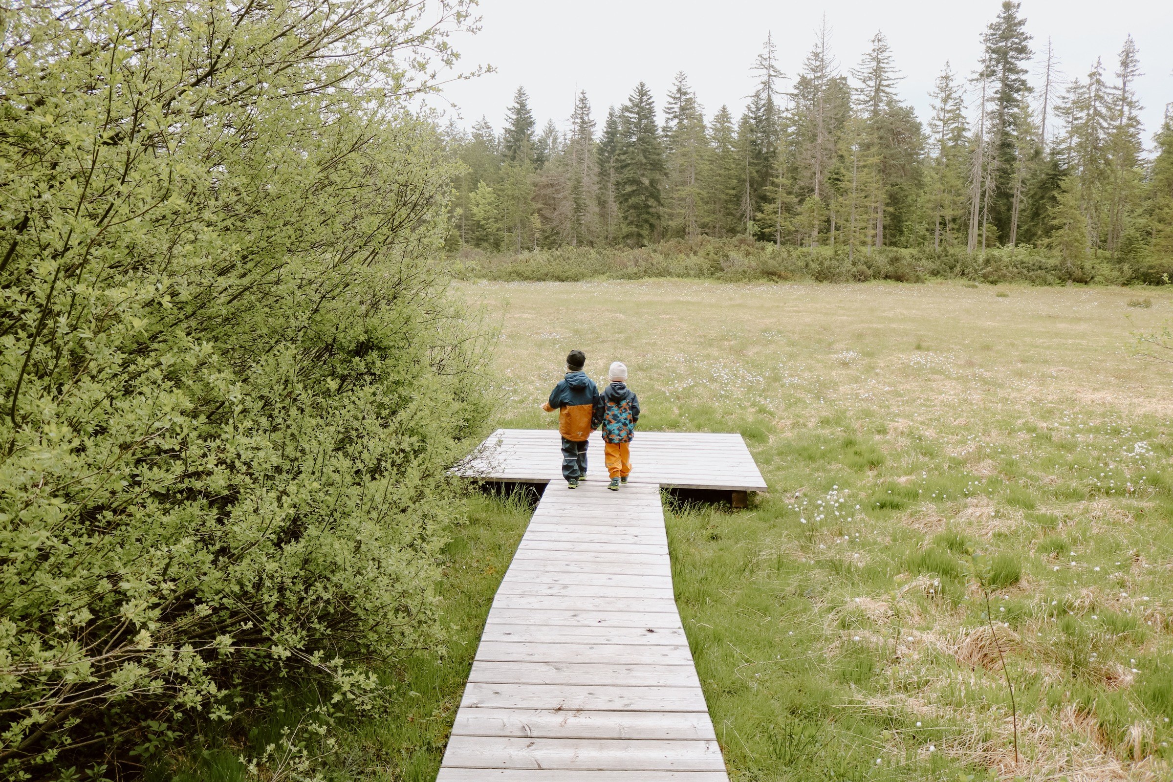 Törfchen-Runde bei Moor & More – Ausflug mit Kindern, Foto 2