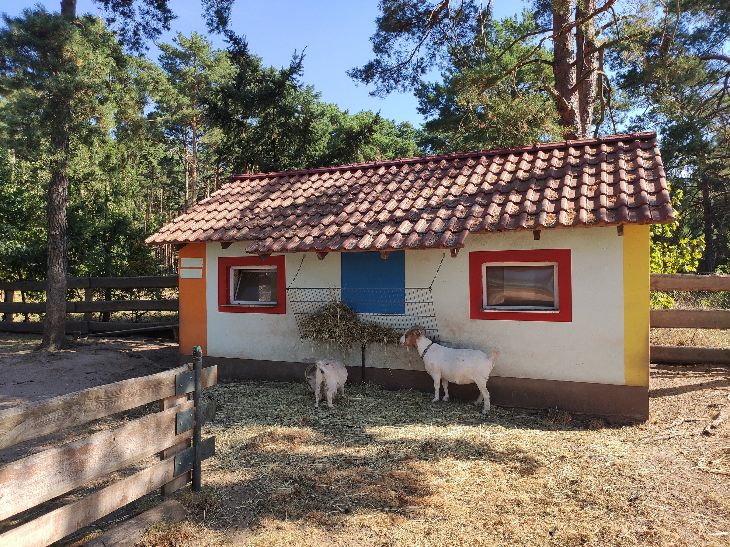 Scharmuntzelland in Wendisch Rietz – Ausflug mit Kindern, Foto 4