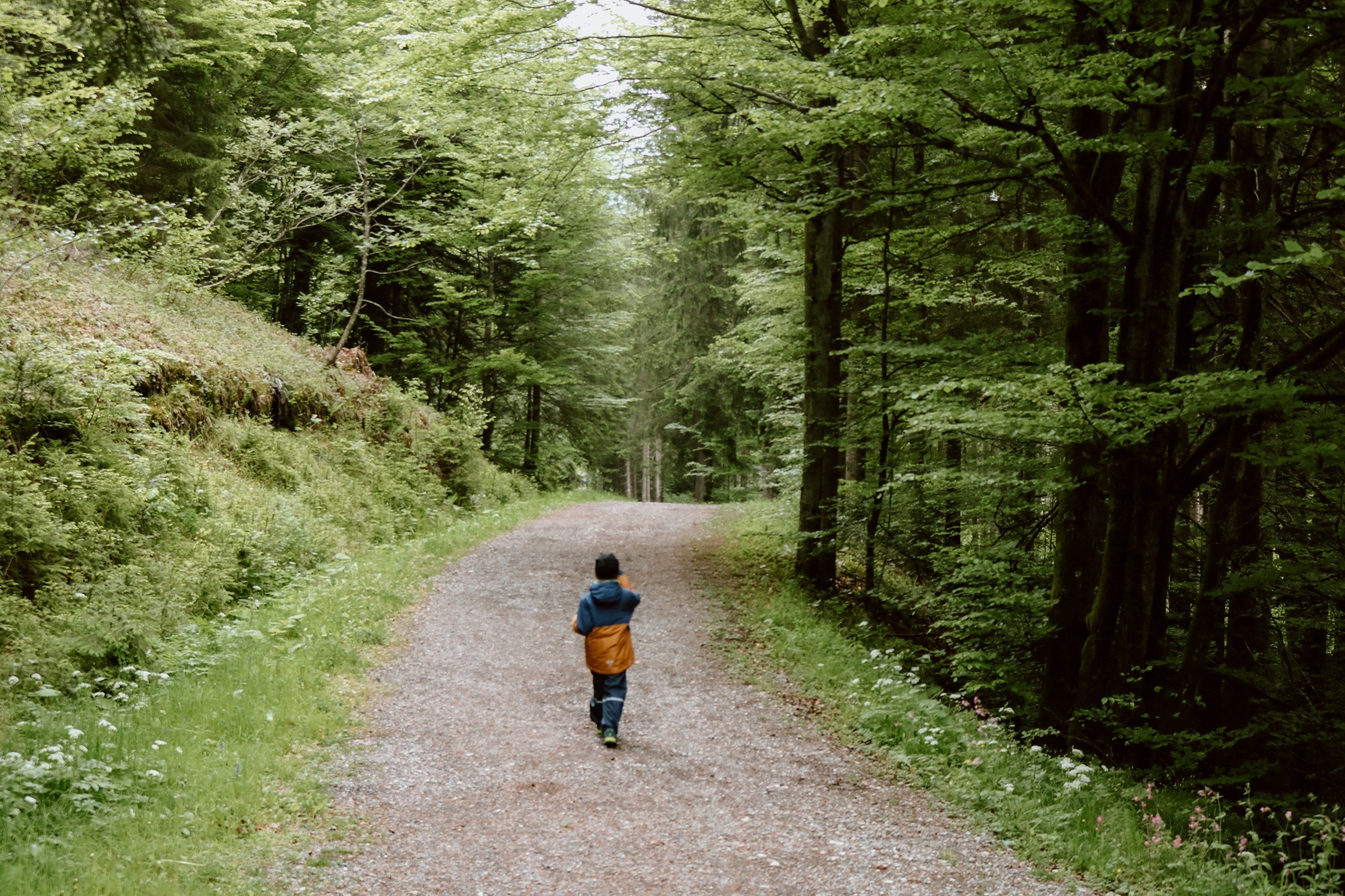 Törfchen-Runde bei Moor & More – Ausflug mit Kindern, Foto 4