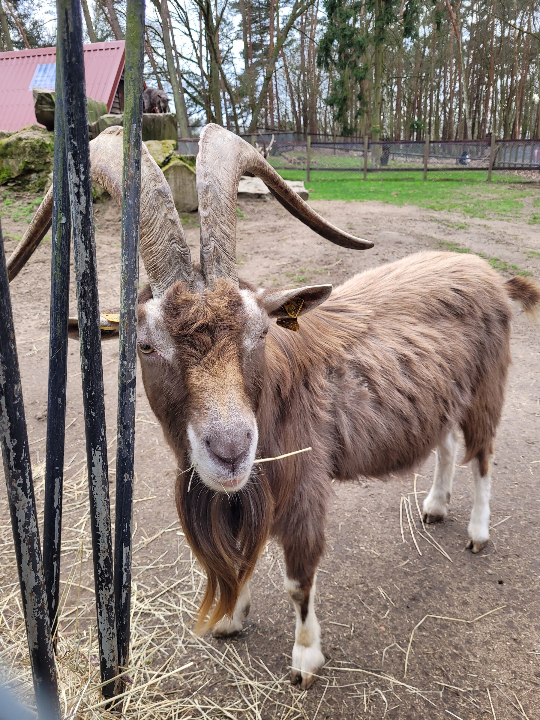 Wildpark Tannenbusch – Ausflug mit Kindern, Foto 2