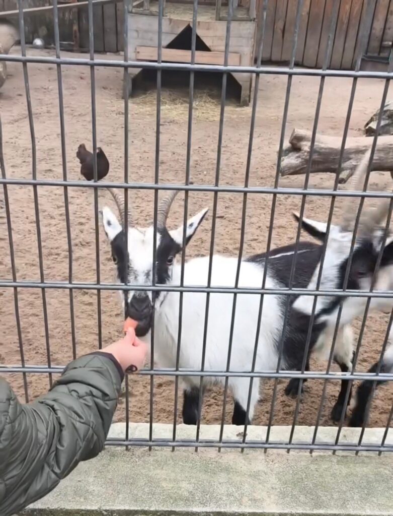 Tierpark Göppingen