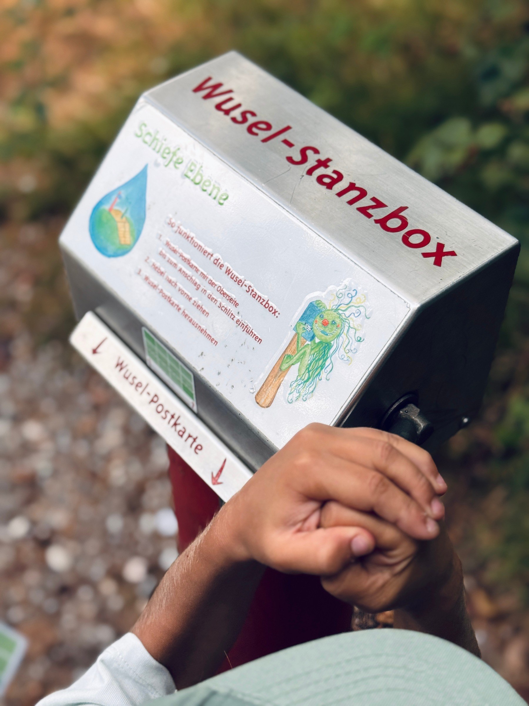 Wuselseeweg – Achensee – Ausflug mit Kindern, Foto 4