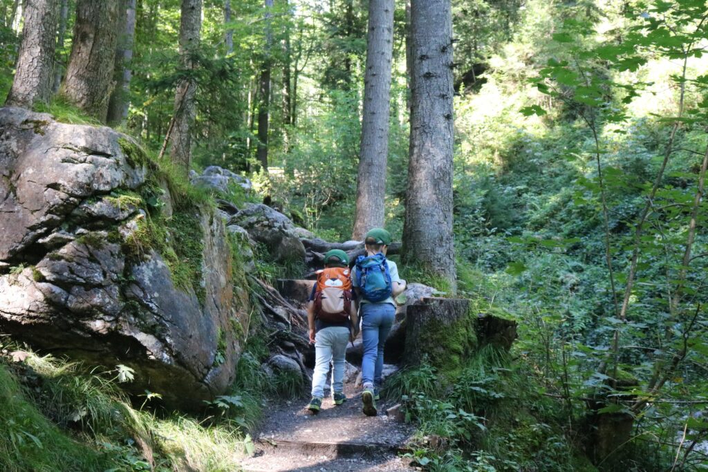 Rehbachklamm in Scheffau