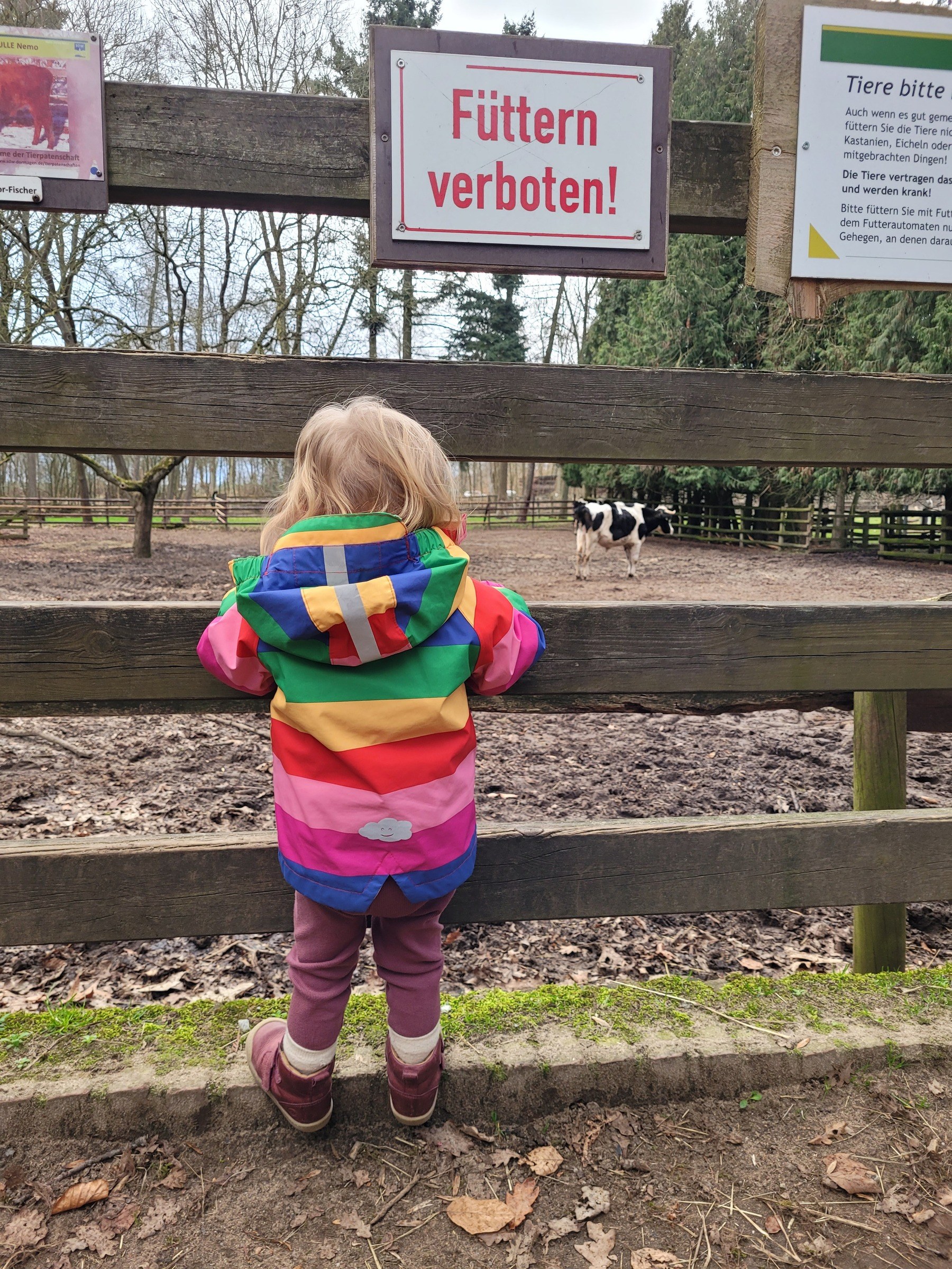 Wildpark Tannenbusch – Ausflug mit Kindern, Foto 5
