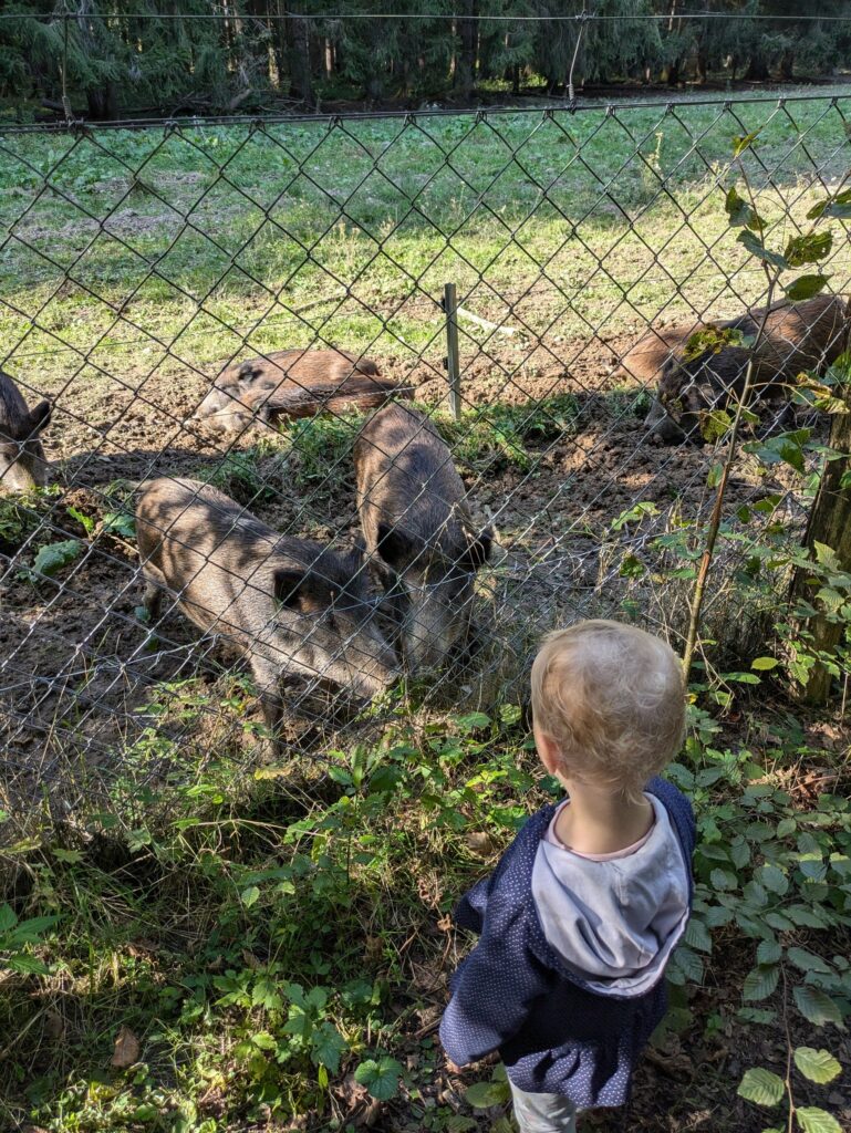 Walderlebnispfad im Ebersberger Forst