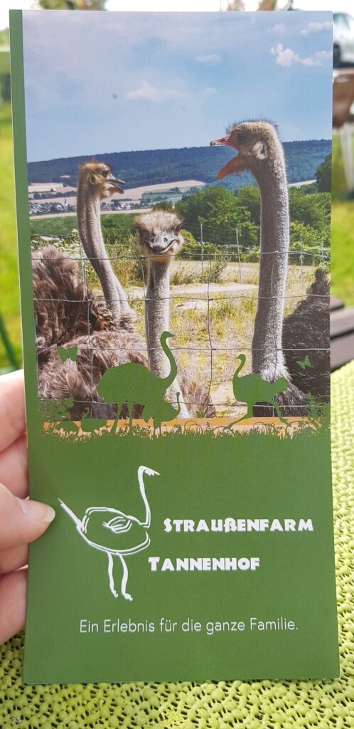 Straußenfarm Tannenhof in Schaafheim