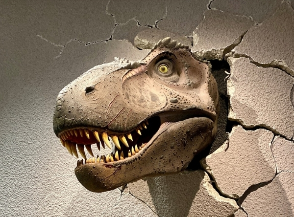 Naturkundemuseum in Stuttgart für Dinofans – Ausflug mit Kindern, Foto 8