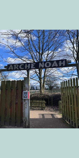 Arche Noah in Meerbusch