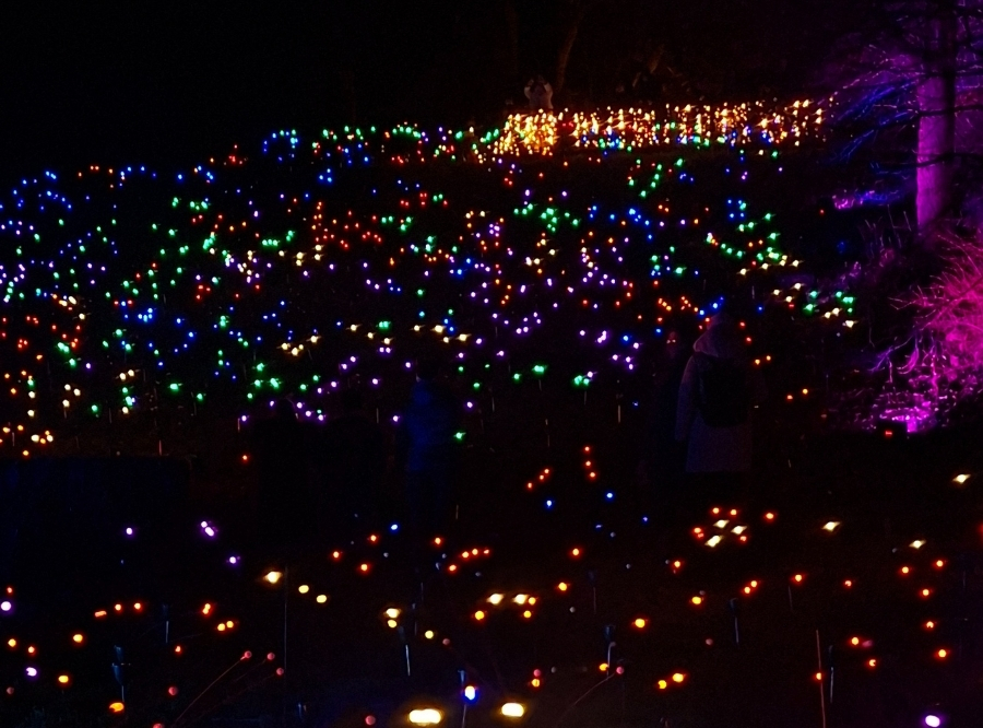 Lichterzauber auf der Insel Mainau – Ausflug mit Kindern, Foto 8