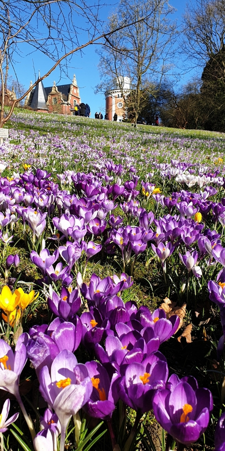 Botanischer Garten in Wuppertal