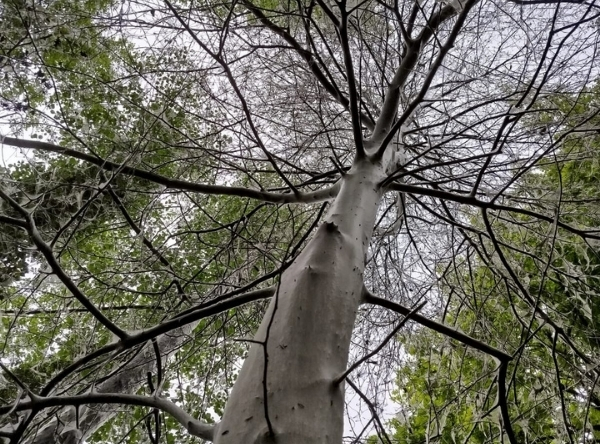 Westpark in München – Ausflug mit Kindern, Foto 2