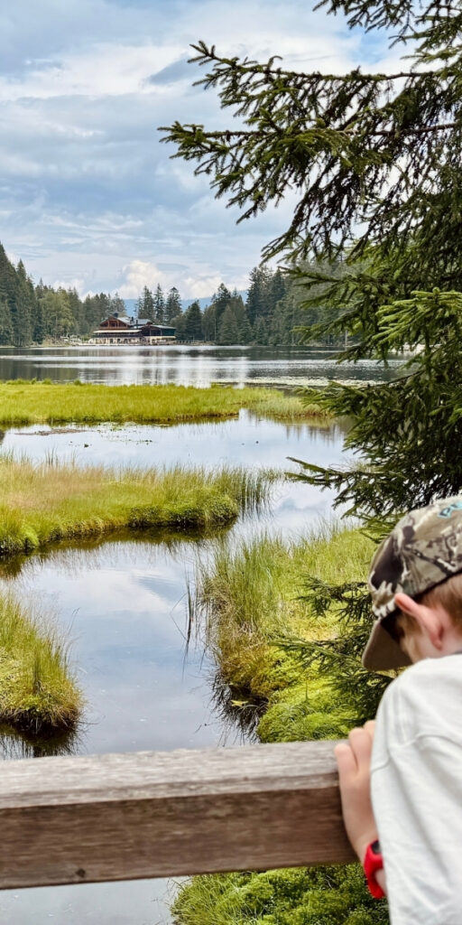 Seerundweg Großer Arbersee