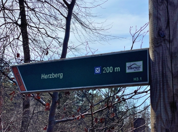 Herzbergturm im Taunus – Ausflug mit Kindern, Foto 4