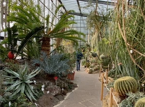 Botanischer Garten der Uni Tübingen – Ausflug mit Kindern, Foto 4