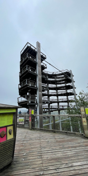 Baumwipfelpfad Saarschleife in Mettlach