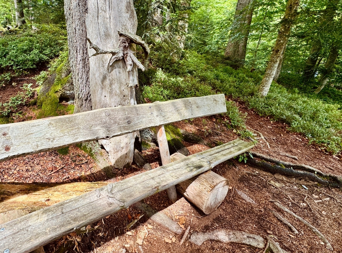 Waldkugelbahn Großer Arbersee – Ausflug mit Kindern, Foto 10