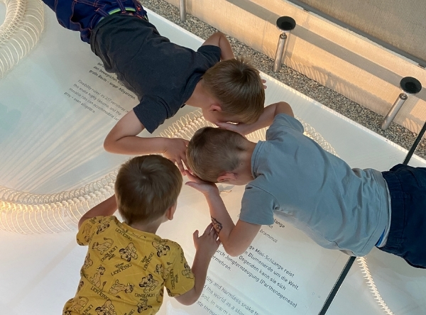 Naturkundemuseum Schloss Rosenstein in Stuttgart – Ausflug mit Kindern, Foto 8
