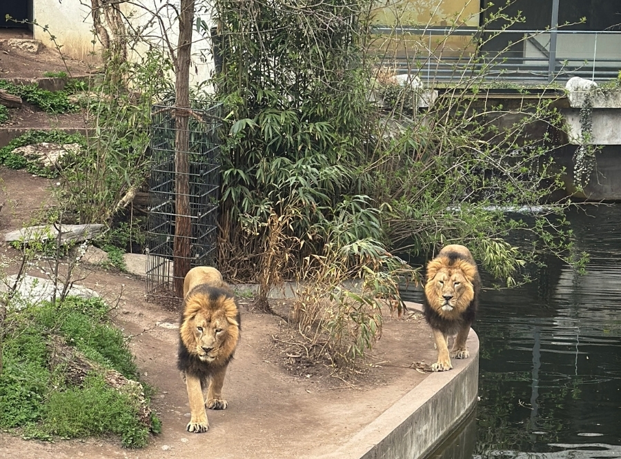 Wilhelma Stuttgart – Ausflug mit Kindern, Foto 7