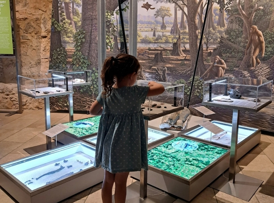 Faszination RiesKraterMuseum – Ausflug mit Kindern, Foto 7