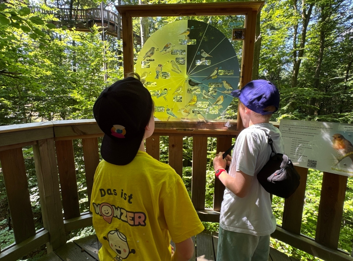 Baumwipfelweg Bad Camberg – Ausflug mit Kindern, Foto 7