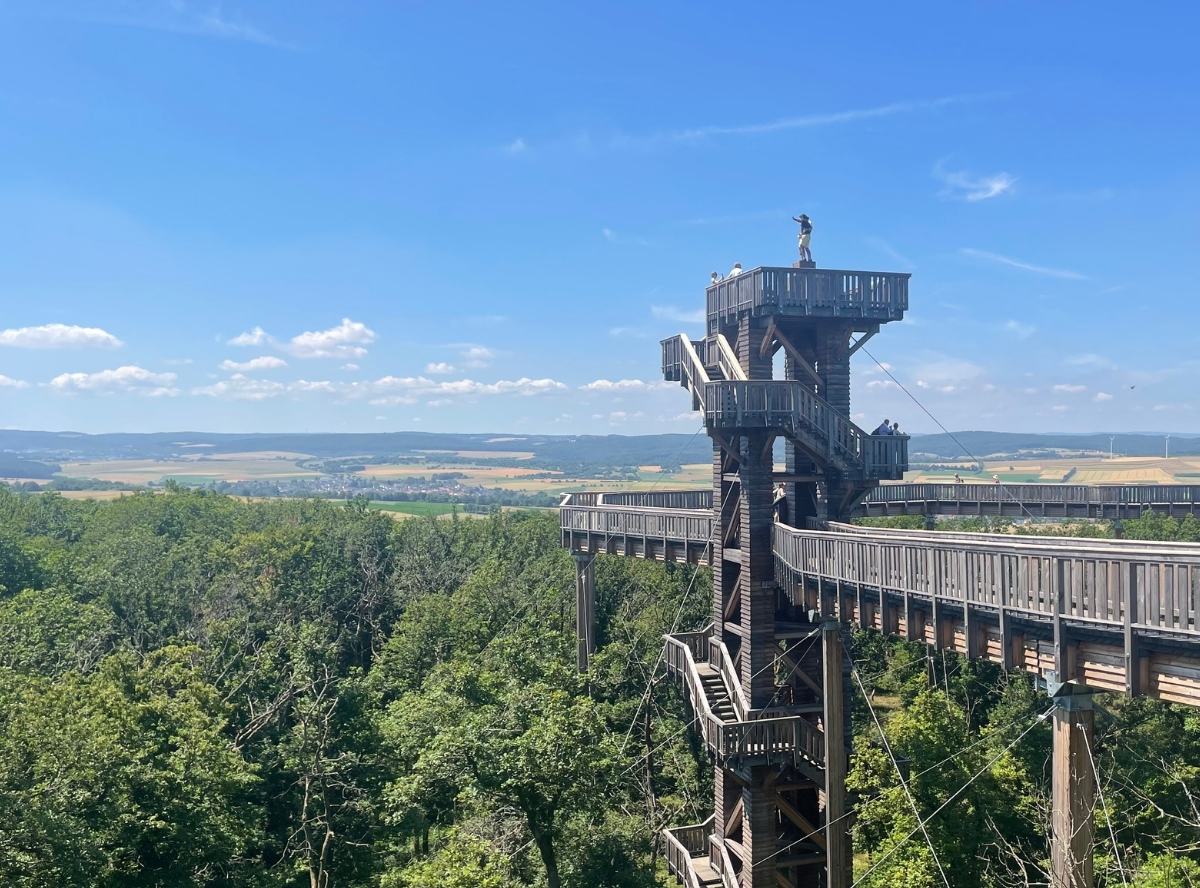 Baumwipfelweg Bad Camberg – Ausflug mit Kindern, Foto 2