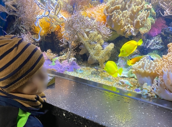 Tiergarten Ulm – Ein Abenteuer für die ganze Familie – Ausflug mit Kindern, Foto 7