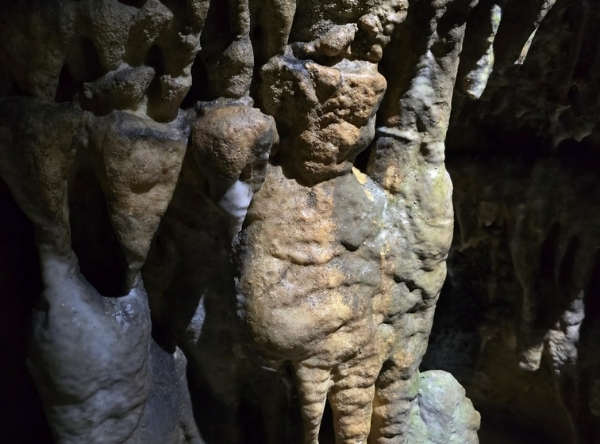 Höhlenabenteuer Scherteleshöhle – Ausflug mit Kindern, Foto 3