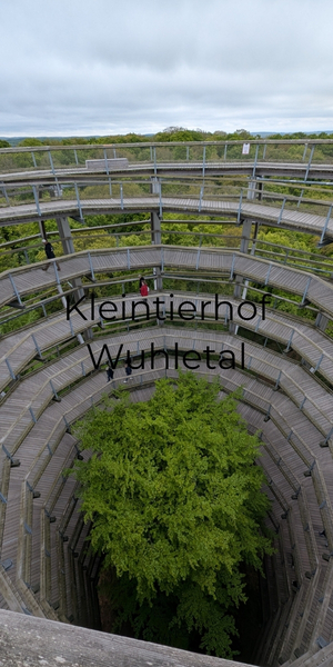 Baumwipfelpfad Rügen