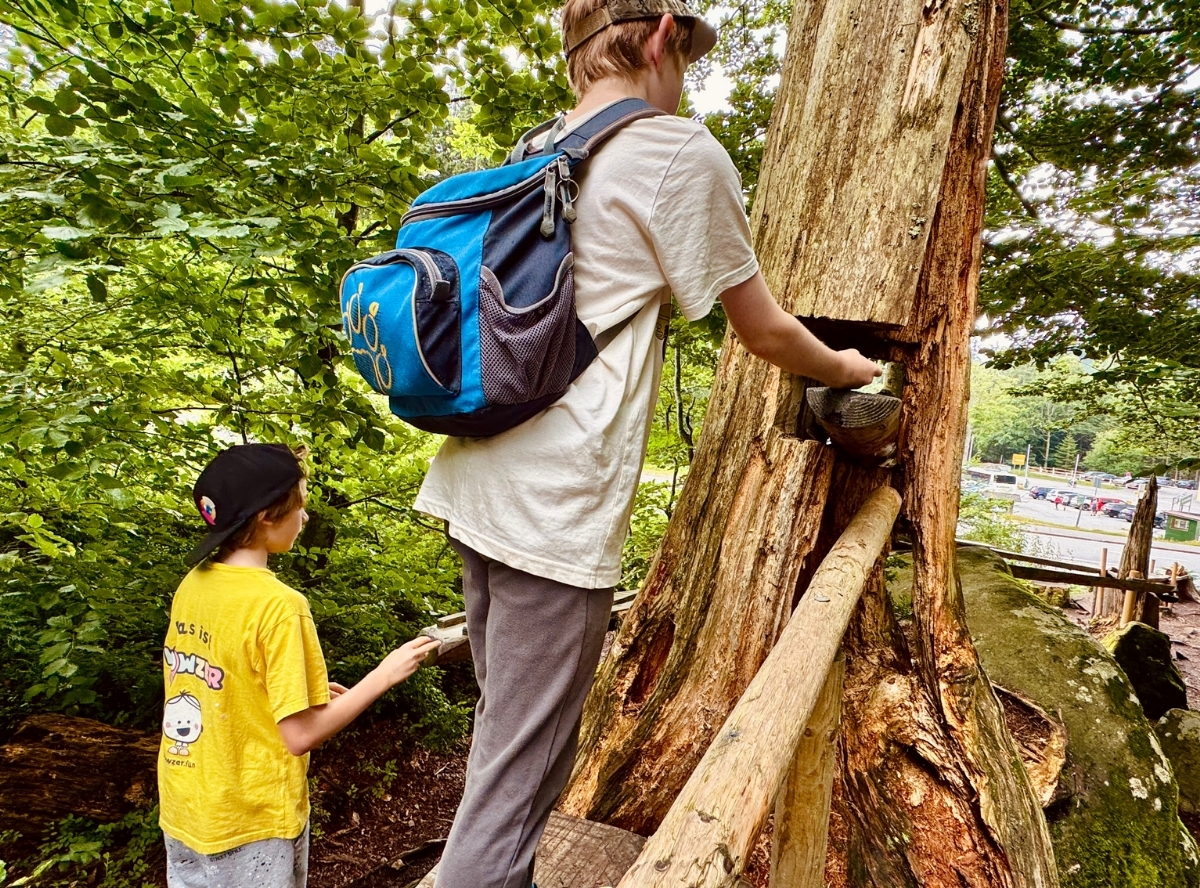 Waldkugelbahn Großer Arbersee – Ausflug mit Kindern, Foto 2