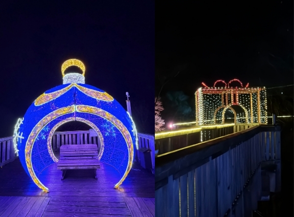 Baumwipfelweg Bad Camberg: Lichterzauber – Ausflug mit Kindern, Foto 6