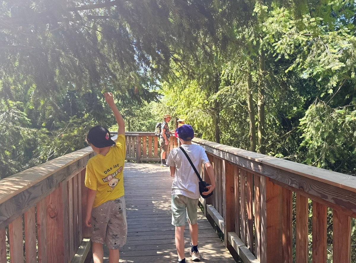 Baumwipfelweg Bad Camberg – Ausflug mit Kindern, Foto 9