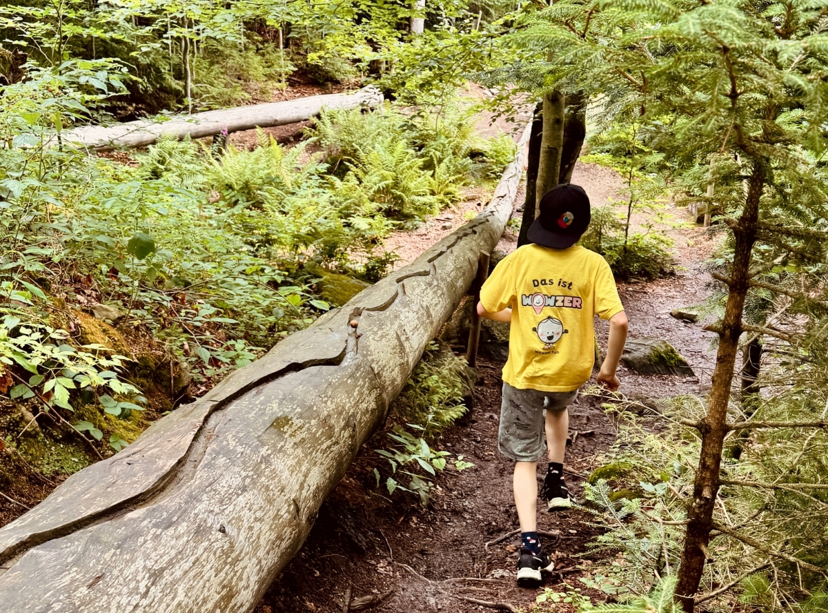 Waldkugelbahn Großer Arbersee – Ausflug mit Kindern, Foto 8