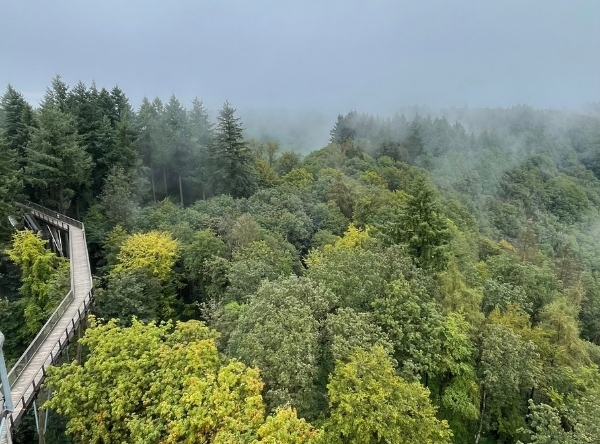 Baumwipfelpfad Saarschleife in Mettlach – Ausflug mit Kindern, Foto 6