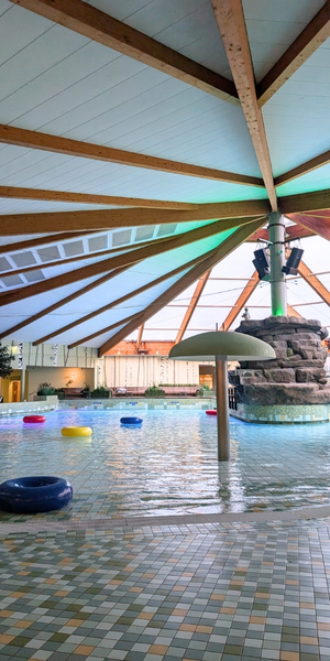 Mit Pinguinen schwimmen – Lübbenau